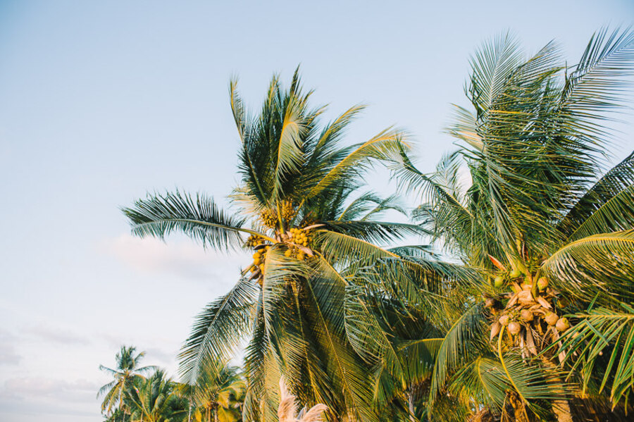 Descripción de la imagen 74